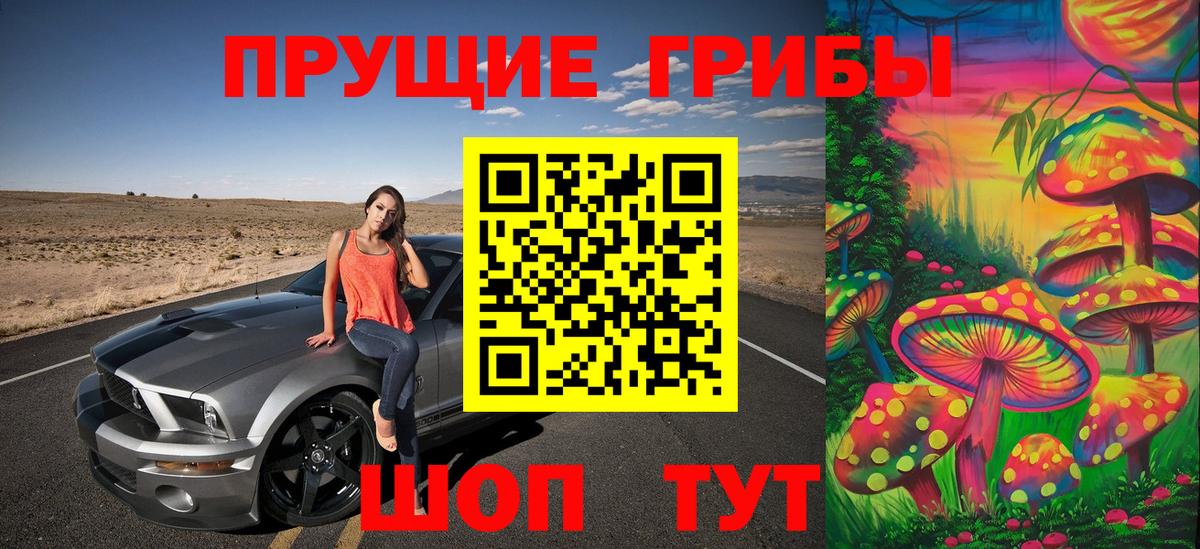 Галлюциногенные грибы прущие грибы  Вход с VPN  Галлюциногенные грибы ЛСД  Кохма 
